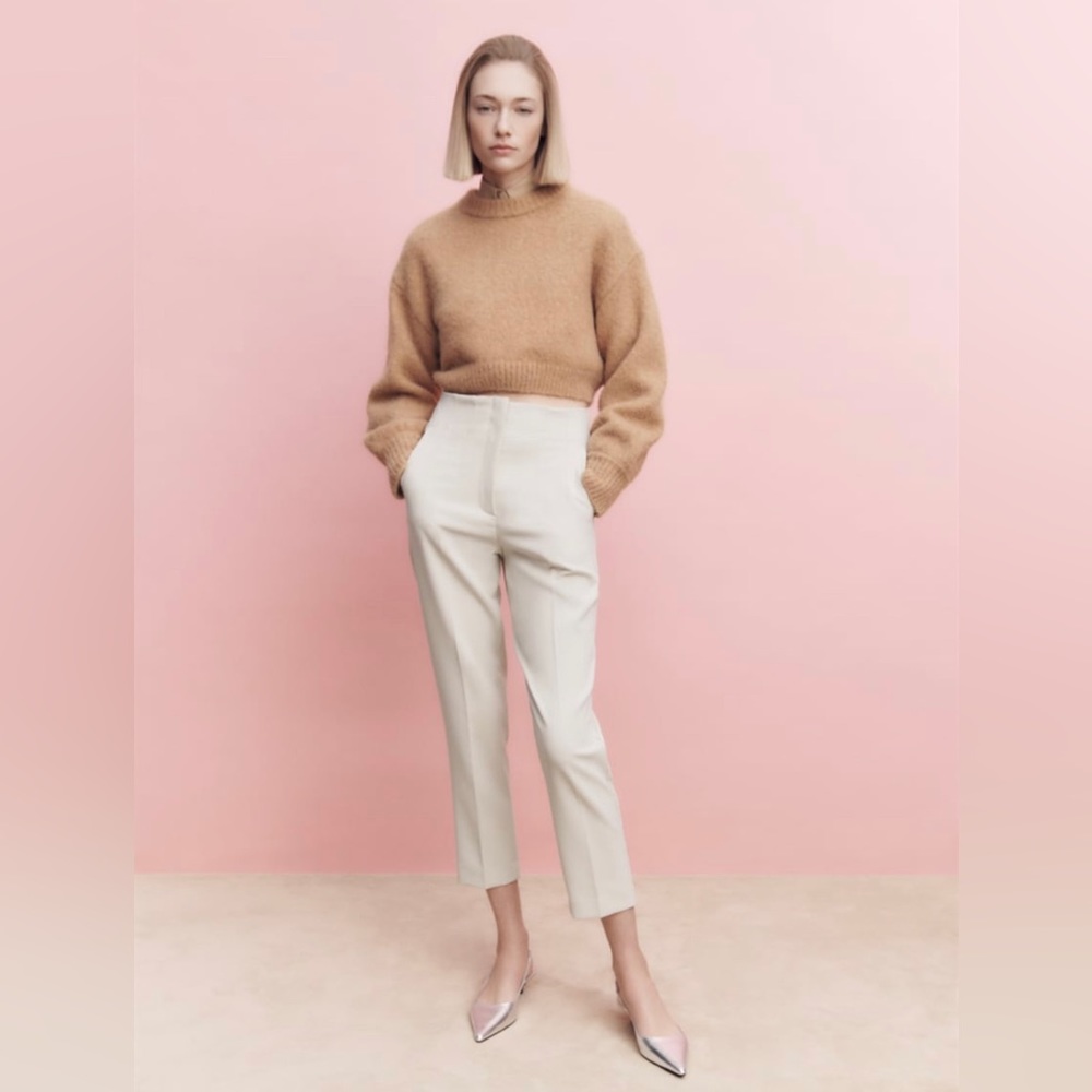 Zara High waisted pants.